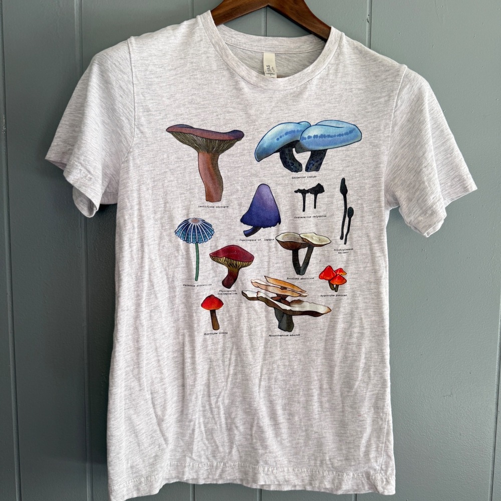 Bella Canvas Mushroom Identification Graphic T-Shirt Heather Gray Women Small S